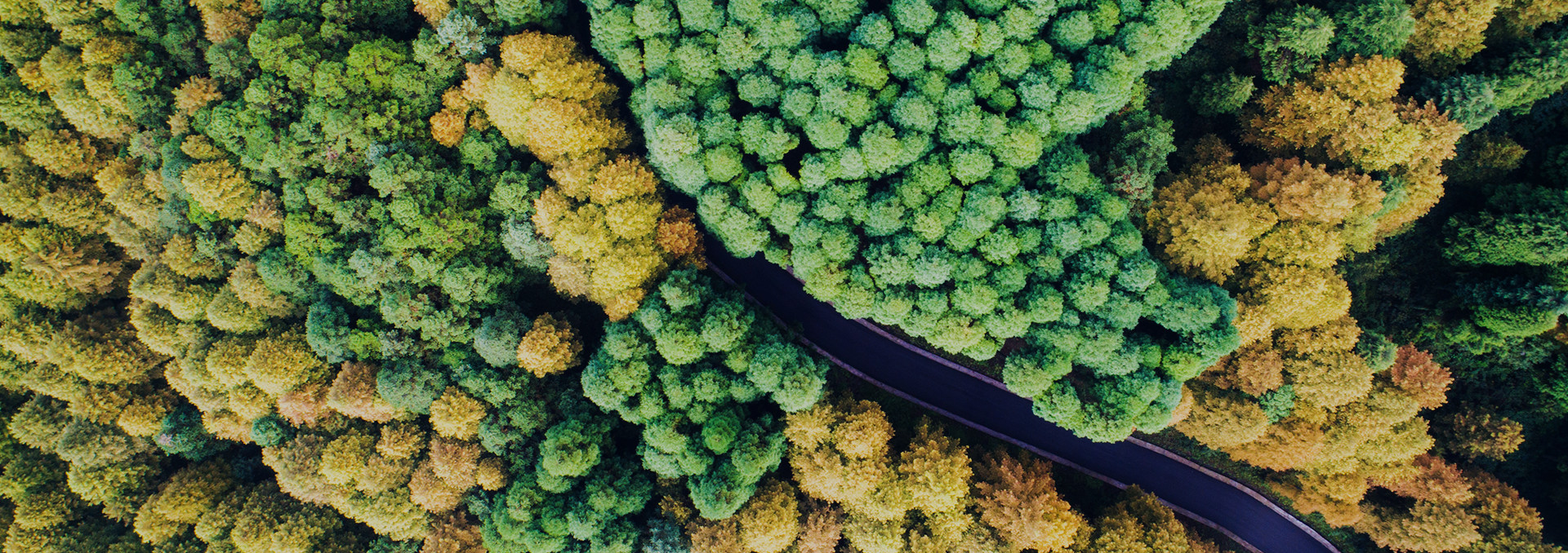 990888香港藏宝阁